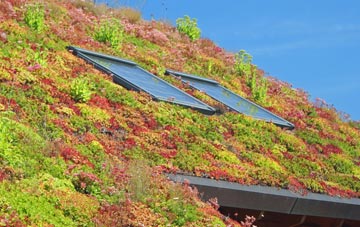 Elmslack living roof systems