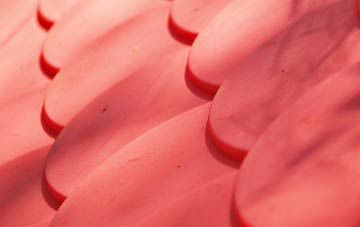 Elmslack plastic roof costs